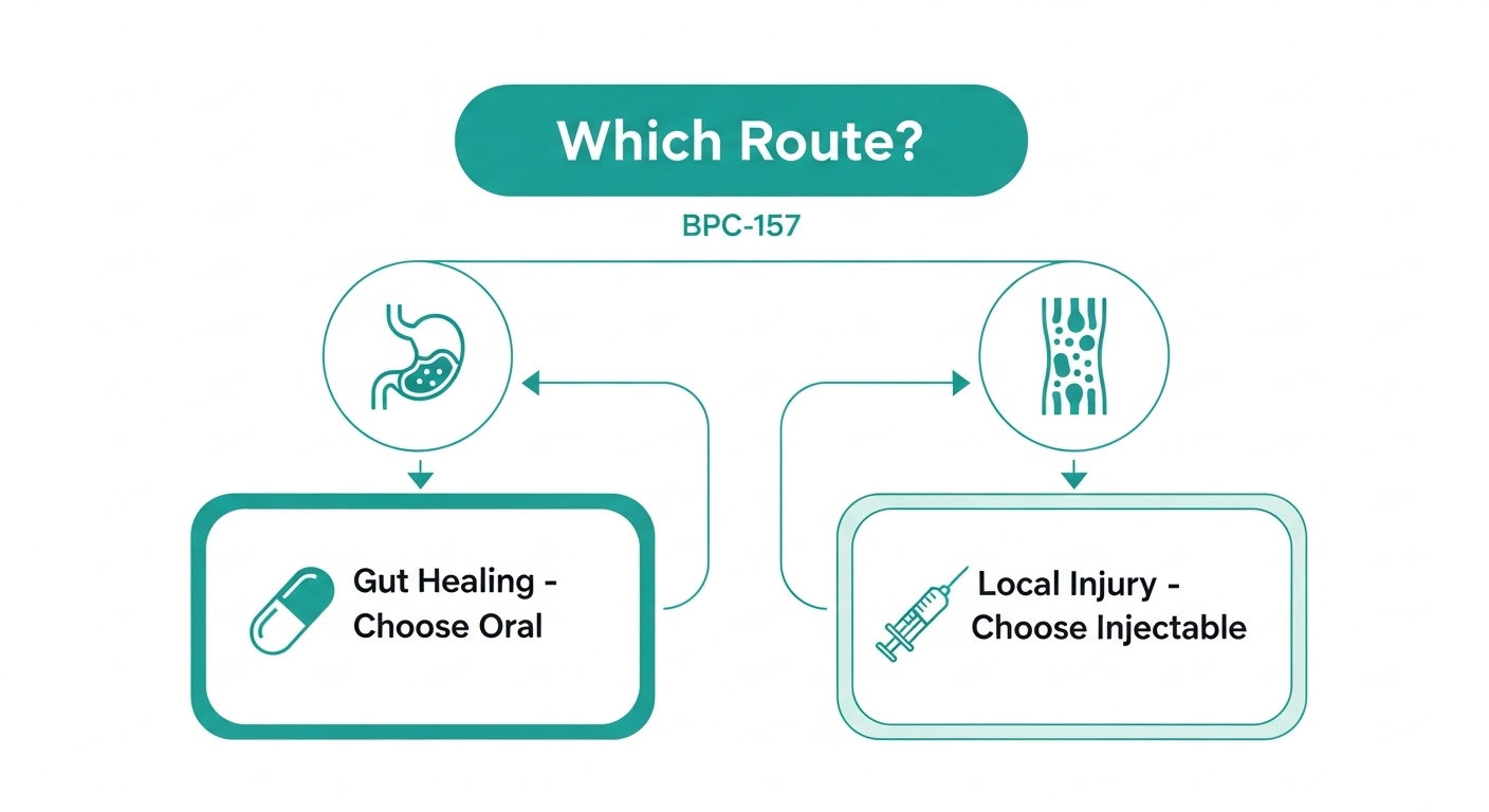 Three forms of BPC-157: capsules, lyophilized vial, and liquid oral solution