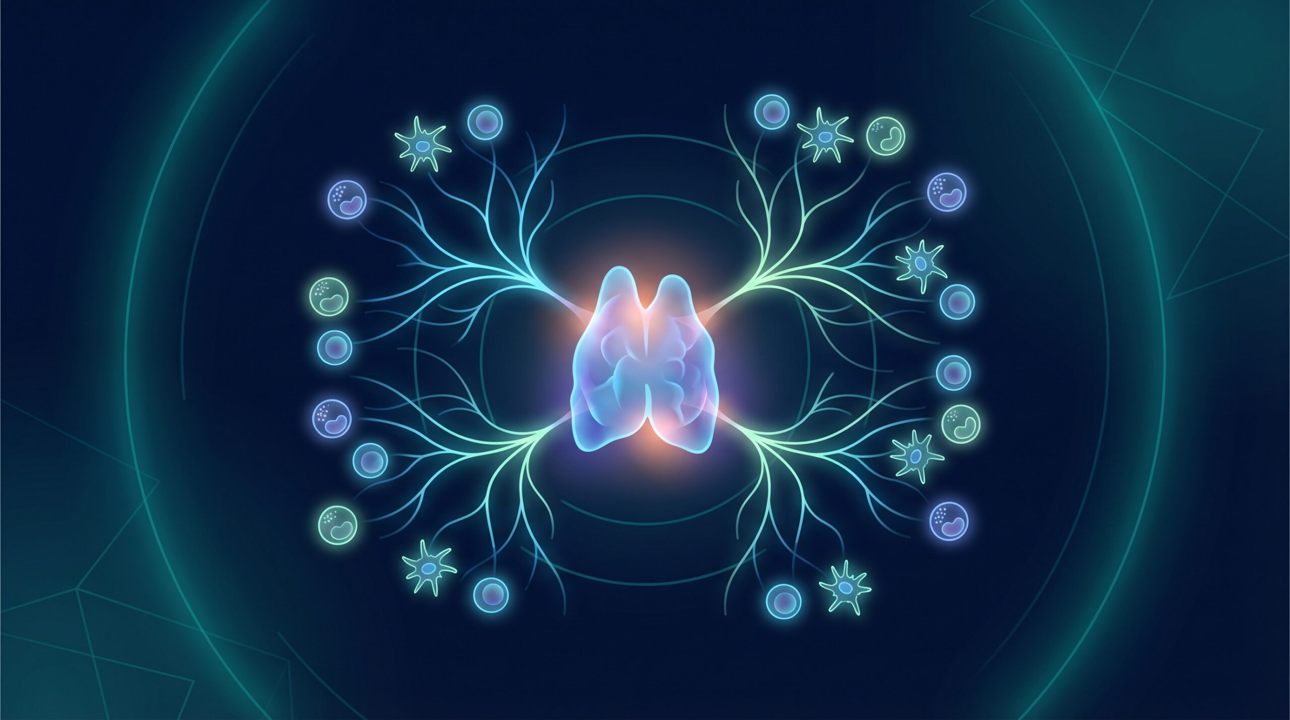 Thymosin Alpha-1 immune peptide scientific illustration showing T-cells and dendritic cells